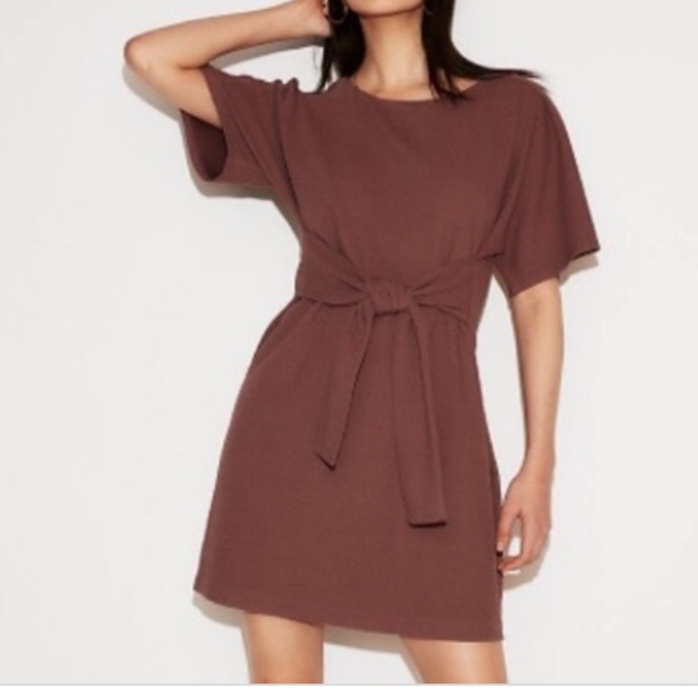 Eggplant Colored Express Tie-Front Dress